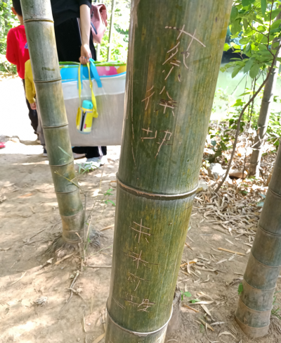 “五一”梅州各大景区游人如织，这种行为我们却不欢迎！
