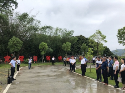 梅县区召开加强基层党组织建设三年行动计划推进会