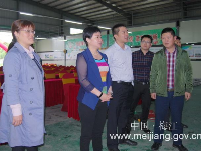 钟秀堂率队到西阳镇调研“菜篮子”工作