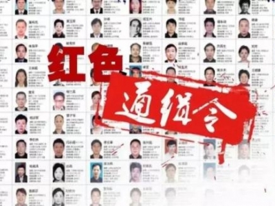 “百名红通人员”莫佩芬回国投案