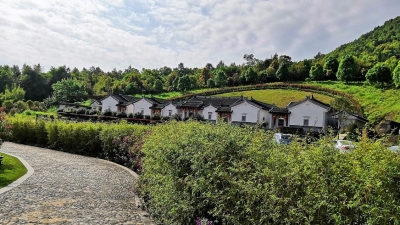 每日一景 | 大埔天然“大氧吧”，隔着屏幕都能吸到负离子