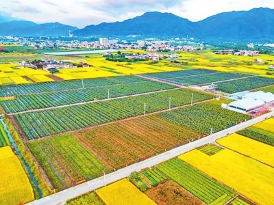 学习笃行｜推进农业现代化 关键在科技创新