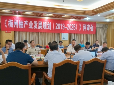 通过专家组评审！梅州柚的发展“行动指南”就要来了