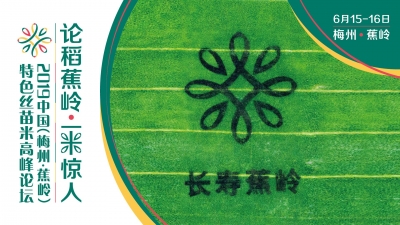 专家学者齐聚一堂！2019中国（梅州·蕉岭）特色丝苗米高峰论坛来了