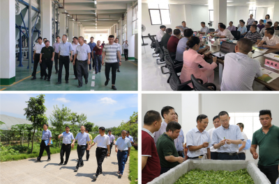 省农业农村厅冯彤副厅长一行到五华调研指导农业农村工作