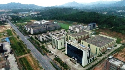 筑巢引凤！丰顺电网“加减法”并举激活地方经济发展新引擎