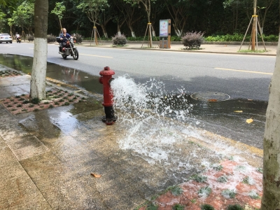 谁干的？梅城这里水哗哗淌了一地…