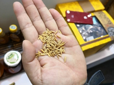 客都议事厅｜做好一粒米特色产业大文章