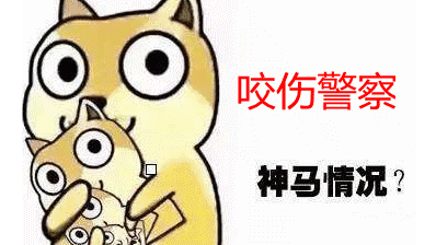 拦雇主车辆、咬伤民警...这两父子成了讨工资的“反面教材”