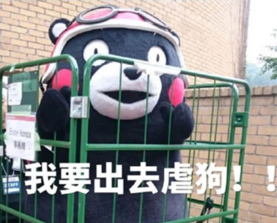 熊本熊落选东京奥运火炬手，组委会：非人类、年龄不详、易燃