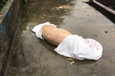 绝不手软！丰顺一男子随意丢弃病死猪被警方拘留
