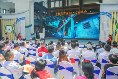 乡村胜景醉宾客 多点深耕迎良策！乡村复兴论坛•大埔峰会侧记 