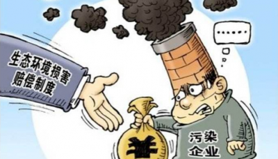 最高法：省级、市地级政府可提起生态环境损害赔偿诉讼