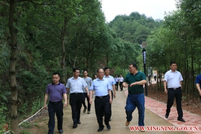 余其豹到兴宁石马镇调研乡村振兴工作，强调了这些...