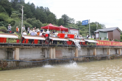 以水养鱼、以鱼净水！梅江区向梅江河投放近27万尾优质鱼种