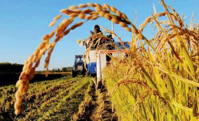 学习笃行丨抓好供给侧改革 提高农业竞争力