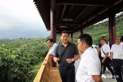 梅县区与峨山县签订战略合作协议，共促两地经济社会高质量发展