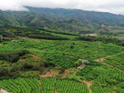 省农业农村厅调研组来梅：做强特色产业 带动富民兴村