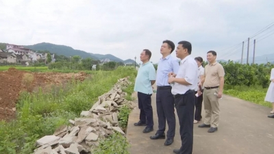 陈伟明到新铺镇象岭村调研新农村建设工作