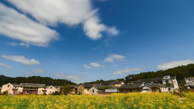 梅州V视丨这里，是世界长寿乡大埔