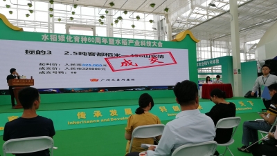 厉害了！客都丝苗米首次参与公开市场挂牌交易，每公斤卖到11.65元