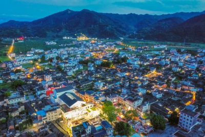 大咖齐聚大埔  把脉乡村振兴