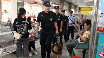 安全过节最是“粽”要！ 端午节期间我市治安警情同比下降4.8%