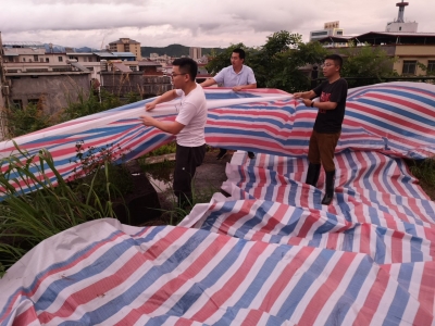 未雨绸缪防大汛！平远安全转移165户355人