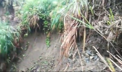 word天！平远太阳村惊现5米深坑，村民表示好心方…