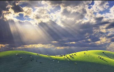 时评丨走过高考，还有更辽阔的风景