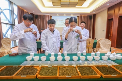 观色、闻香、辨茶品...丰顺斗茶大赛金奖出炉，这16家茶企获奖