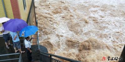 紧急！未来八小时内，梅州四条河流将出现超警戒水位