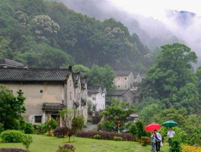 清远市政协到梅县区考察乡村振兴和农业农村发展工作