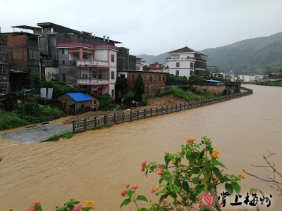 梅州V视丨龙舟水凶猛！梅州多地暴雨受浸