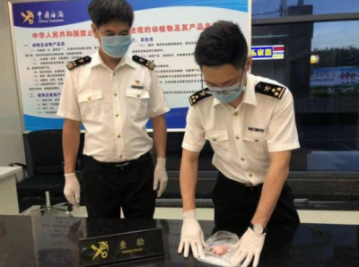 梅州海关从旅客行李中截获人体胎盘组织！可能携带病毒...