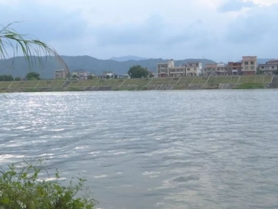 一湾三片 十廊串珠！广东拟三年内建成“万里碧道”
