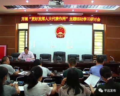平远召开“更好发挥人大代表作用”主题活动专项学习研讨会