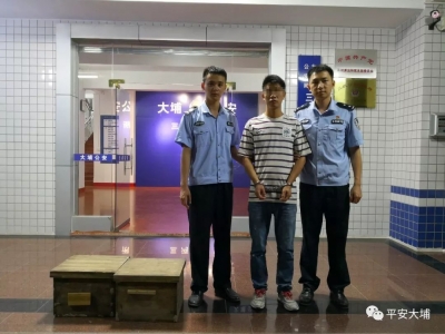 纳闷了！大埔一老伯的12个蜂箱不翼而飞，原是这人作怪...