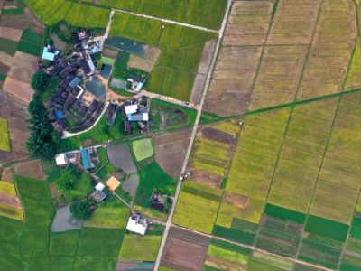 上半年多项经济指标居全市前列！这些蕉岭的骄傲，你一定要看