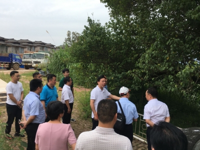 梅州规划建设梅花园和植物园，初步选址在…