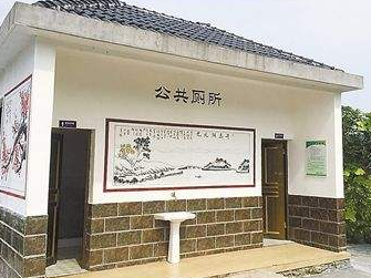 学习笃行丨“以小见大”推进厕所革命