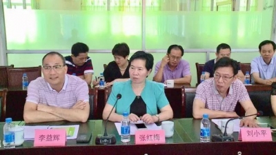 大埔县人大常委会组织视察加快创建卫生强县工作的实施和落实