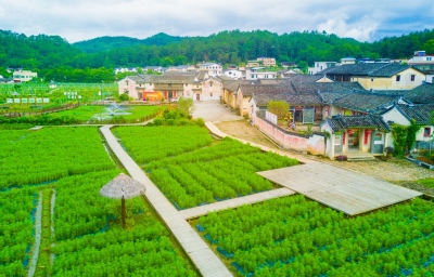 梅州唯一！大埔北塘村入选首批全国乡村旅游重点村