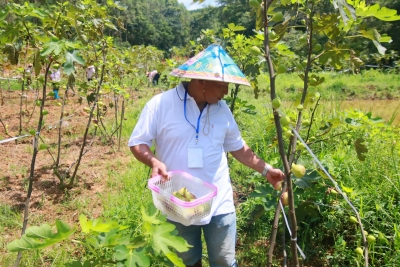 一户一策！兴宁新圩大村村通过发展生态种养脱贫致富 