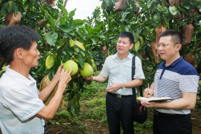 把群众放在心上，把心放在群众身上！大埔这位书记太拼了...