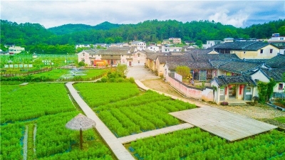 大埔北塘村上榜“全国乡村旅游重点村”，没去过的快走起
