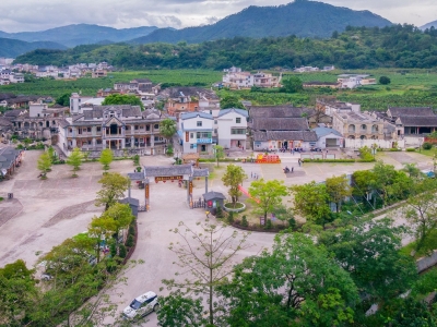 强组织 兴产业 美环境…推进乡村振兴，大埔这样干