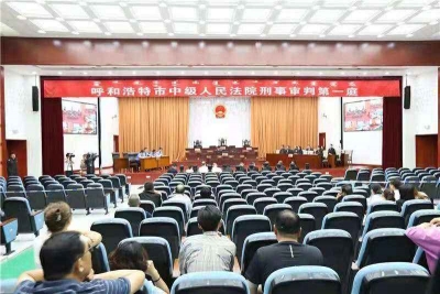 私藏枪支、伪造公文…涉黑记者苗迎春一审被判无期
