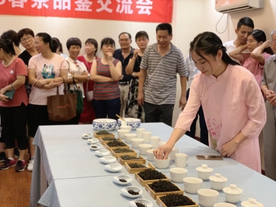 一叶春茶香！今天他们以茶之名，相约梅城