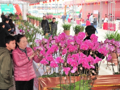 学习笃行丨在优化营商环境上下足功夫